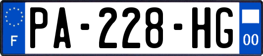 PA-228-HG