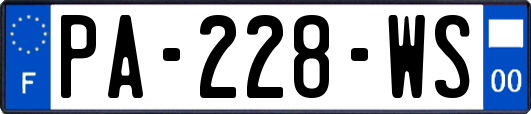 PA-228-WS