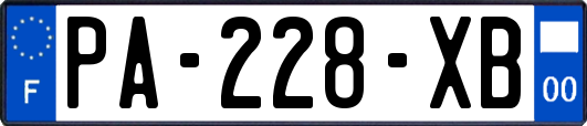 PA-228-XB