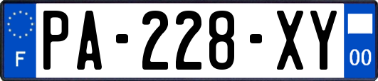 PA-228-XY