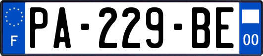 PA-229-BE