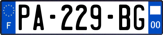 PA-229-BG