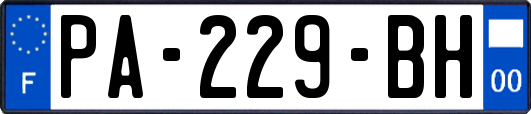 PA-229-BH