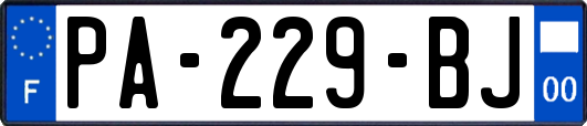 PA-229-BJ