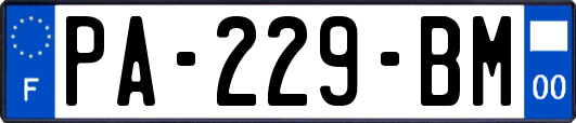 PA-229-BM