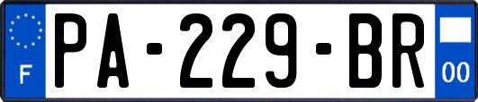 PA-229-BR