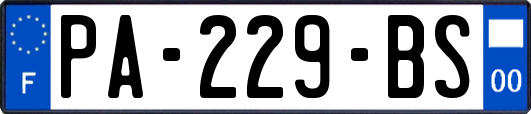 PA-229-BS