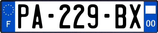 PA-229-BX
