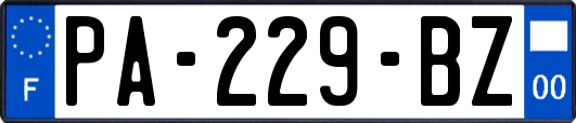 PA-229-BZ