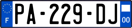 PA-229-DJ
