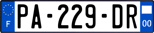 PA-229-DR