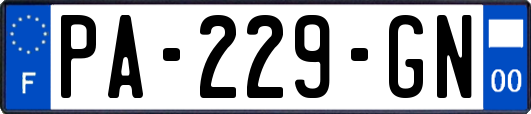 PA-229-GN