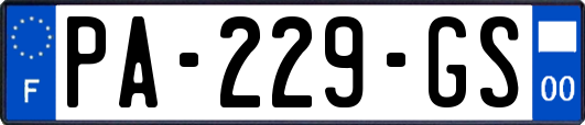 PA-229-GS