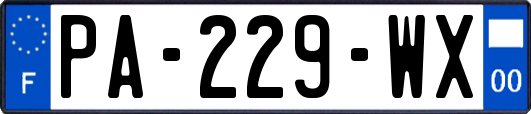 PA-229-WX