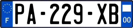 PA-229-XB