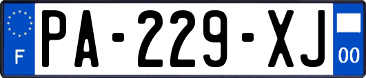 PA-229-XJ
