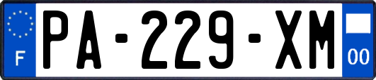PA-229-XM