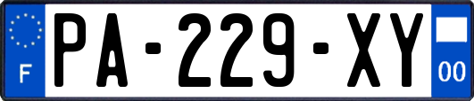 PA-229-XY