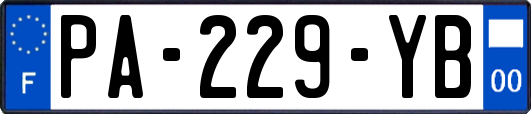 PA-229-YB