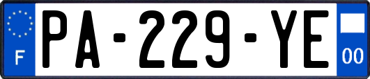 PA-229-YE