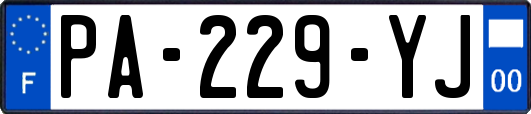 PA-229-YJ