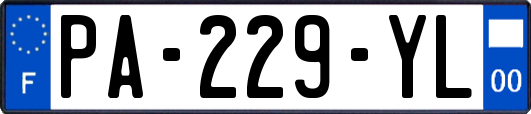 PA-229-YL