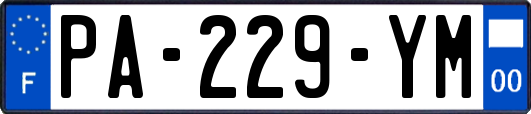 PA-229-YM