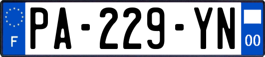PA-229-YN