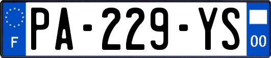 PA-229-YS