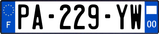 PA-229-YW