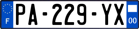 PA-229-YX