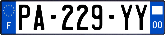 PA-229-YY