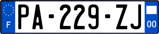 PA-229-ZJ