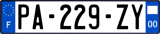 PA-229-ZY