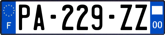 PA-229-ZZ
