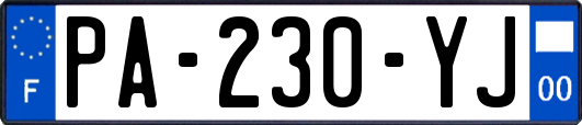 PA-230-YJ