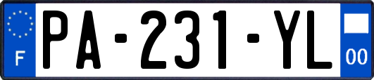 PA-231-YL