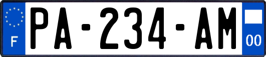 PA-234-AM