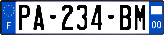PA-234-BM