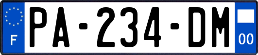 PA-234-DM