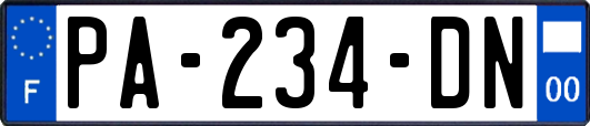 PA-234-DN