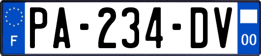 PA-234-DV