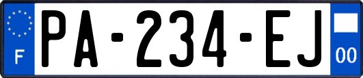 PA-234-EJ