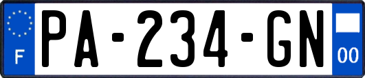 PA-234-GN