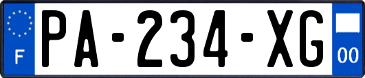 PA-234-XG
