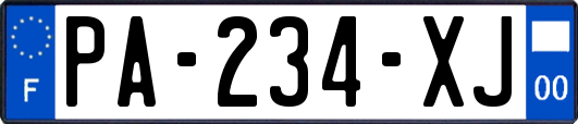 PA-234-XJ