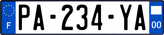 PA-234-YA