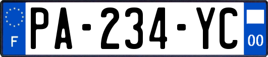 PA-234-YC
