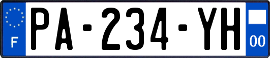 PA-234-YH