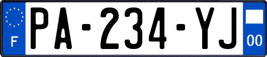PA-234-YJ